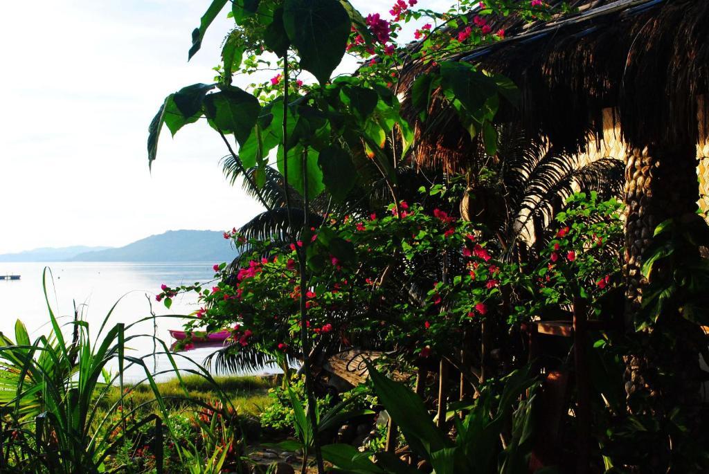 Coral Bay Beach And Dive Resort Busuanga Room photo